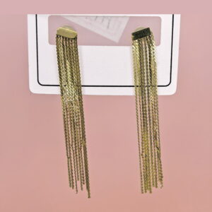 Stainless Steel Earrings  for Women and Girls Chains Good Quality No Change Color BS2503270683