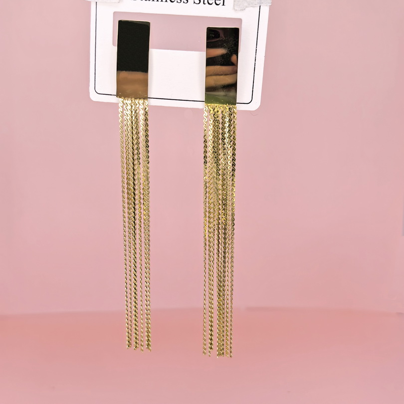 Stainless Steel Earrings  for Women and Girls Chains Good Quality No Change Color BS2503270693