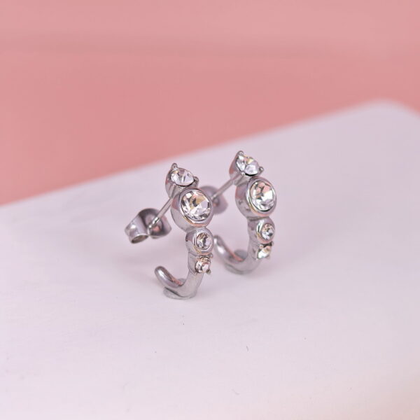 Stainless Steel Earrings with Crystals for Women and Girls C Shape Good Quality No Change Color BS2503270759
