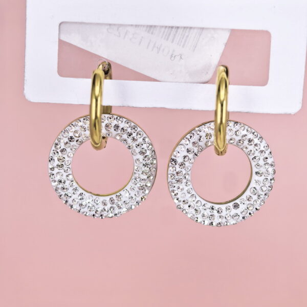 Stainless Steel Earrings with Crystals for Women and Girls Round Good Quality No Change Color BS2503270800
