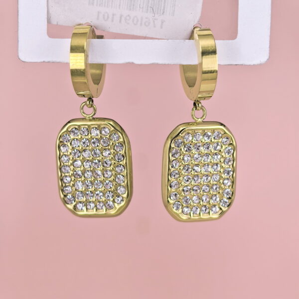 Stainless Steel Earrings with Crystals for Women and Girls Feather Good Quality No Change Color BS2503270811
